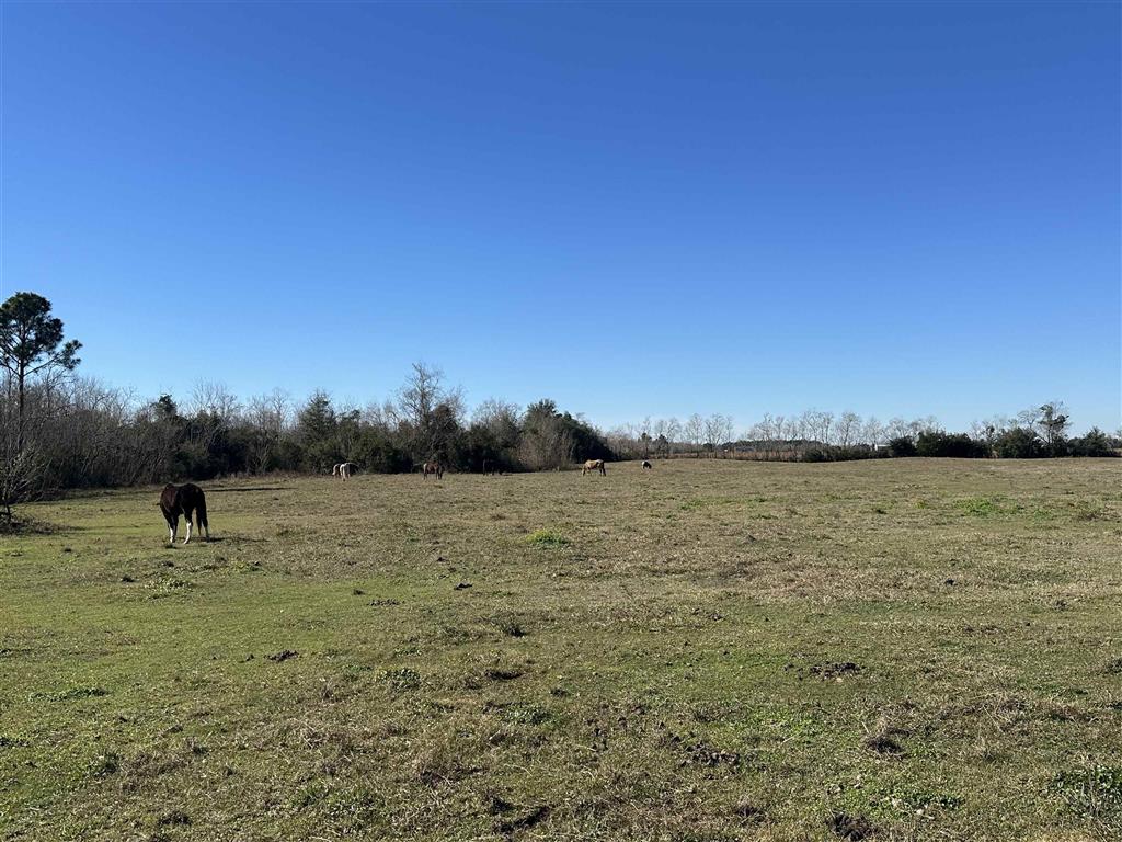 210 Par Road 446 Lake Charles, LA 70607 - Photo 17 of 20