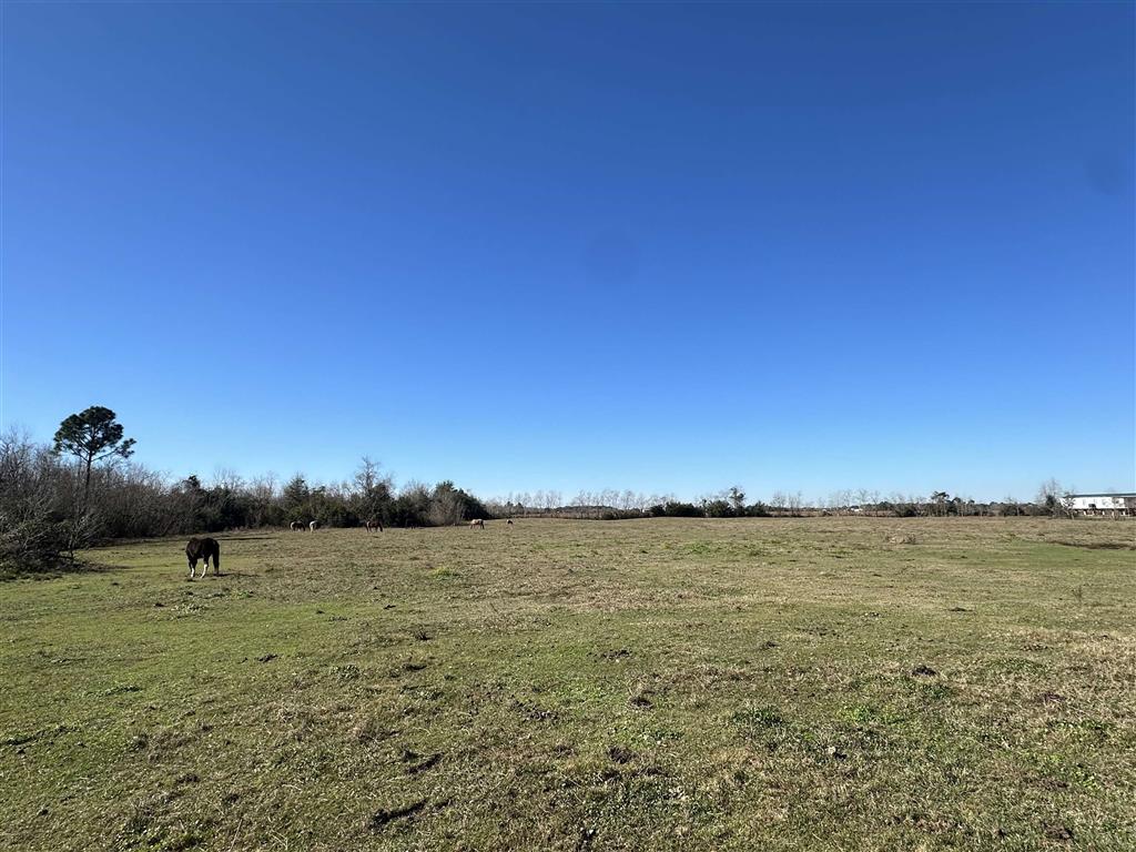 210 Par Road 446 Lake Charles, LA 70607 - Photo 19 of 20