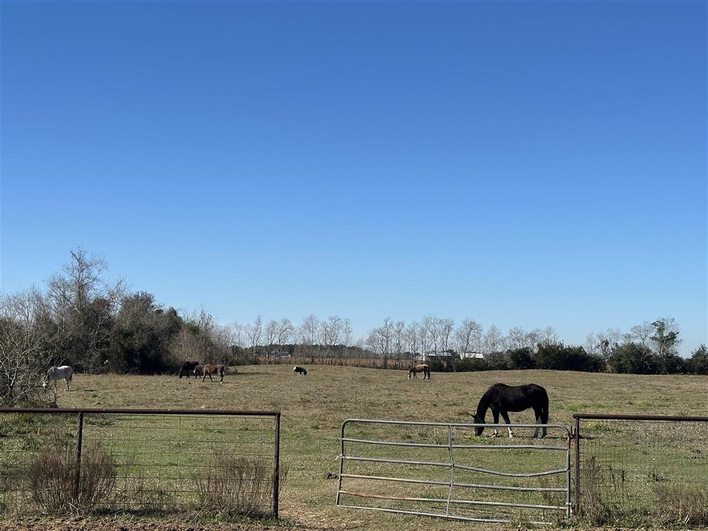 210 Par Road 446 Lake Charles, LA 70607 - Photo 20 of 20