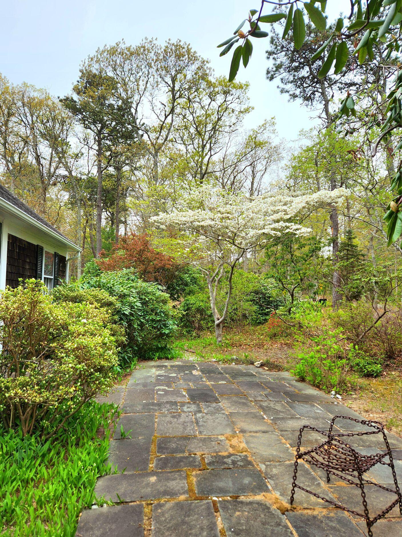 988 Crowells Bog Road Brewster, MA 02631 - Photo 39 of 92 Resized_20250509_141030 2
