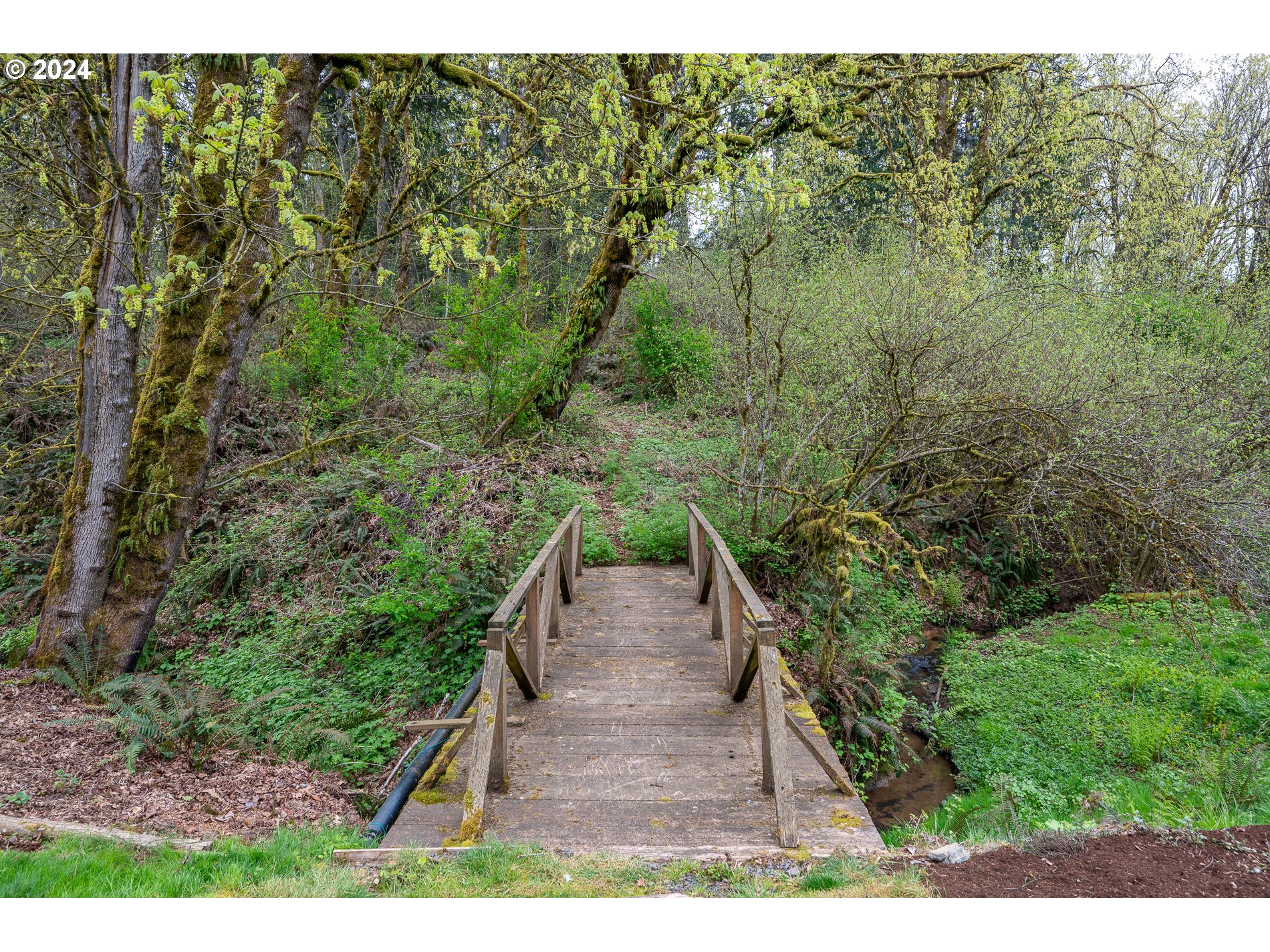 15202 South Thayer Road Oregon City, OR 97045 - Photo 17 of 47 Gallery Image 17