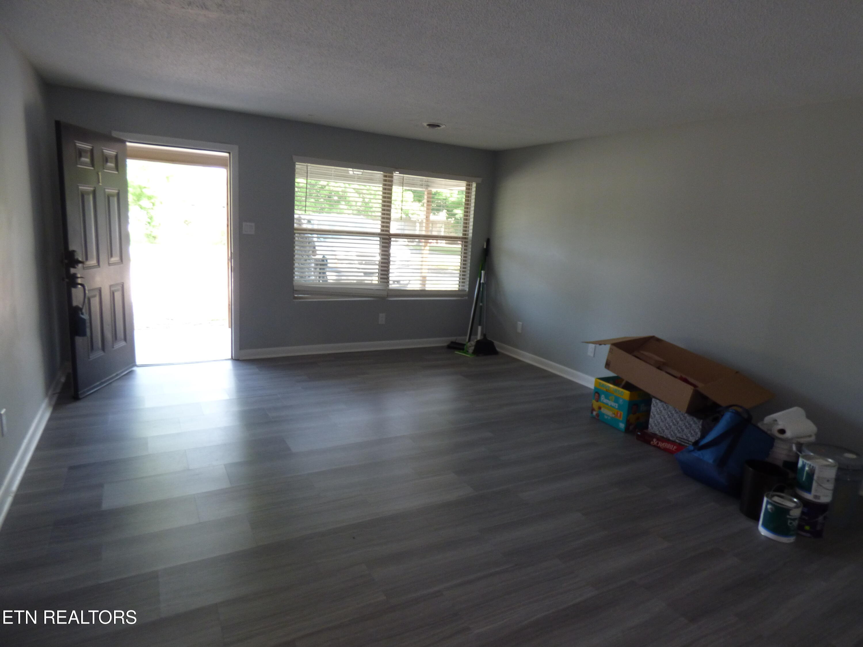 153 Travis Drive Spring City, TN 37381 - Photo 2 of 45 P1080890