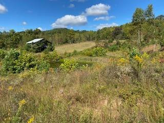 9999 Hopper Creek Road London, KY 40744 - Photo 11 of 15 Photo 11