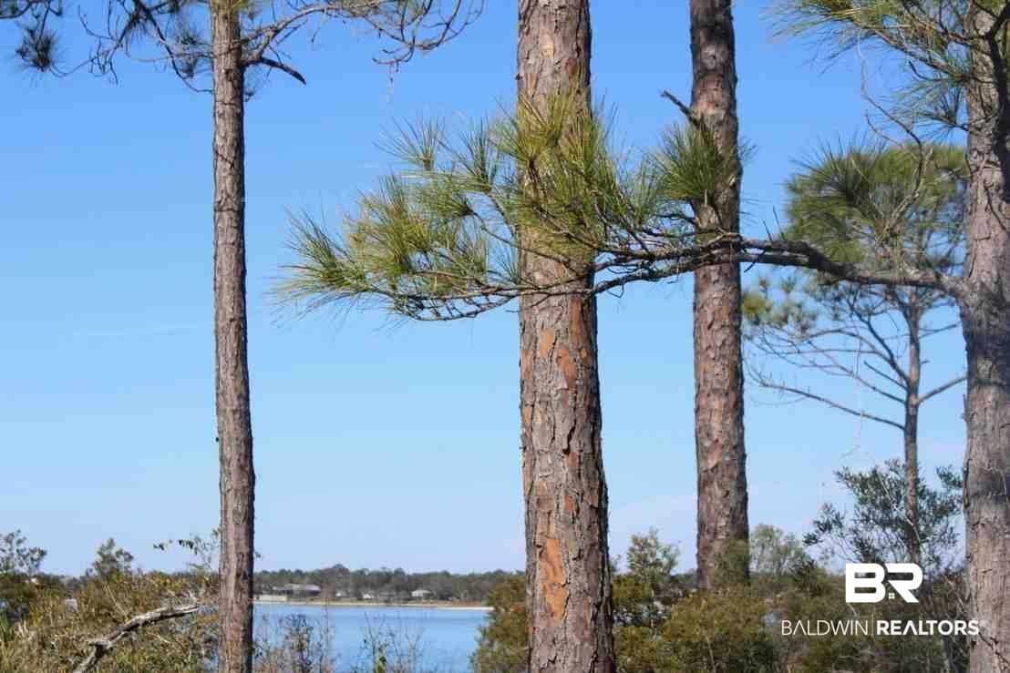Tbd River Road Pensacola, FL 32507 - Photo 2 of 10