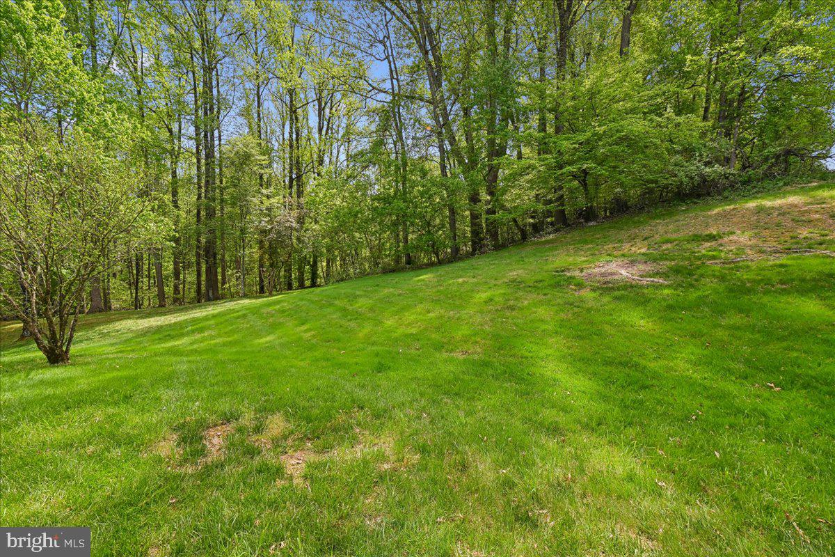903 Brook Street Accokeek, MD 20607 - Photo 49 of 57 Private Backyard with Elevated Wooded Views