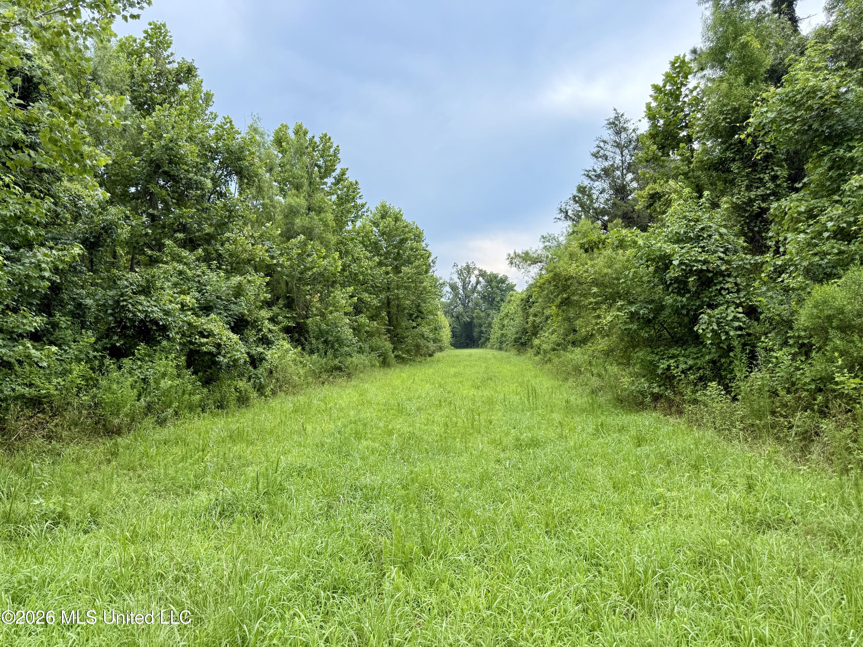 568 Smith-Bailey Road Durant, MS 39063 - Photo 55 of 81 Photo Jul 02 2026, 2 26 50 PM