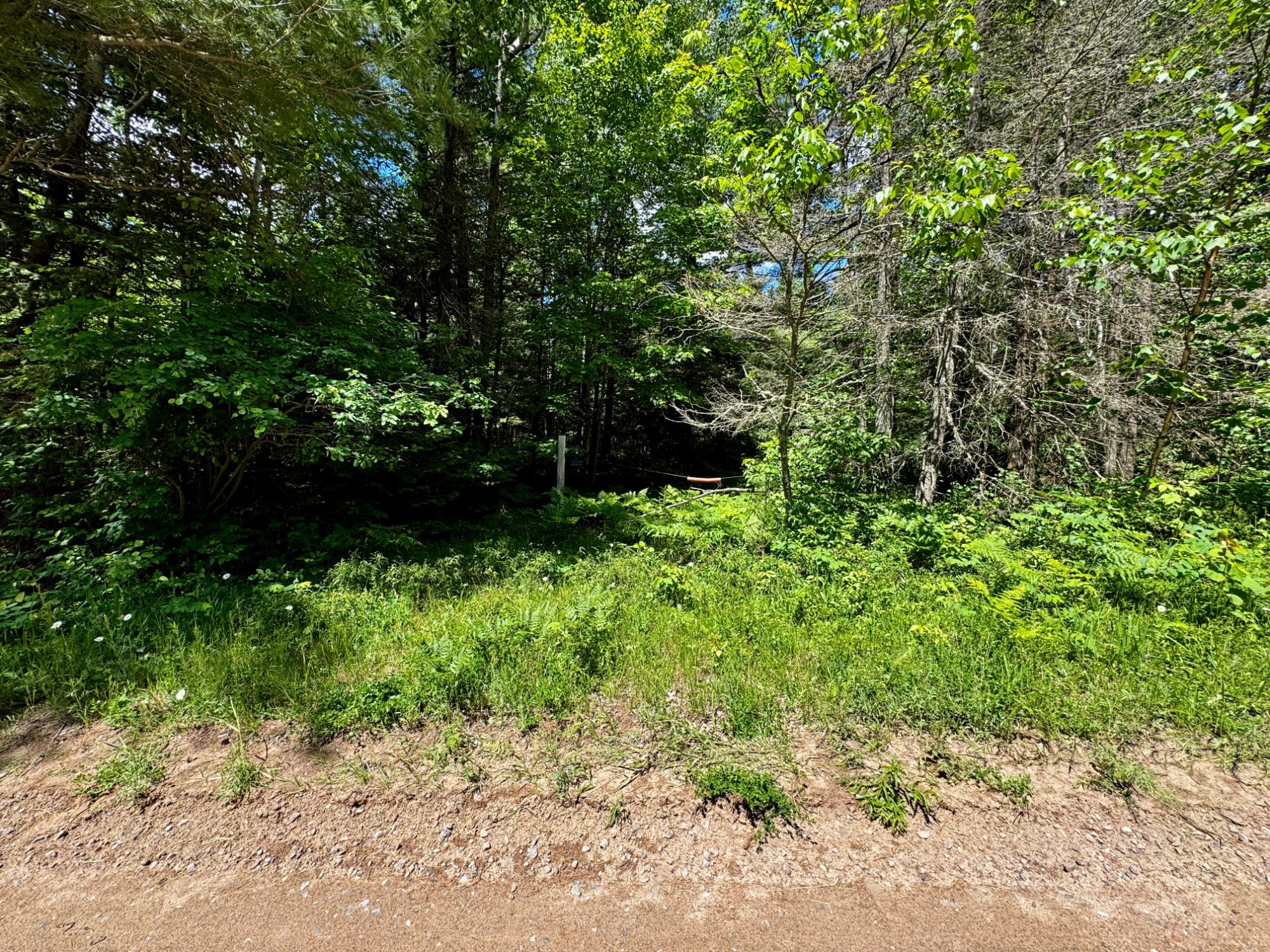 Nine Camp 9 Road Minocqua, WI 54548 - Photo 31 of 37 Gallery Image 31