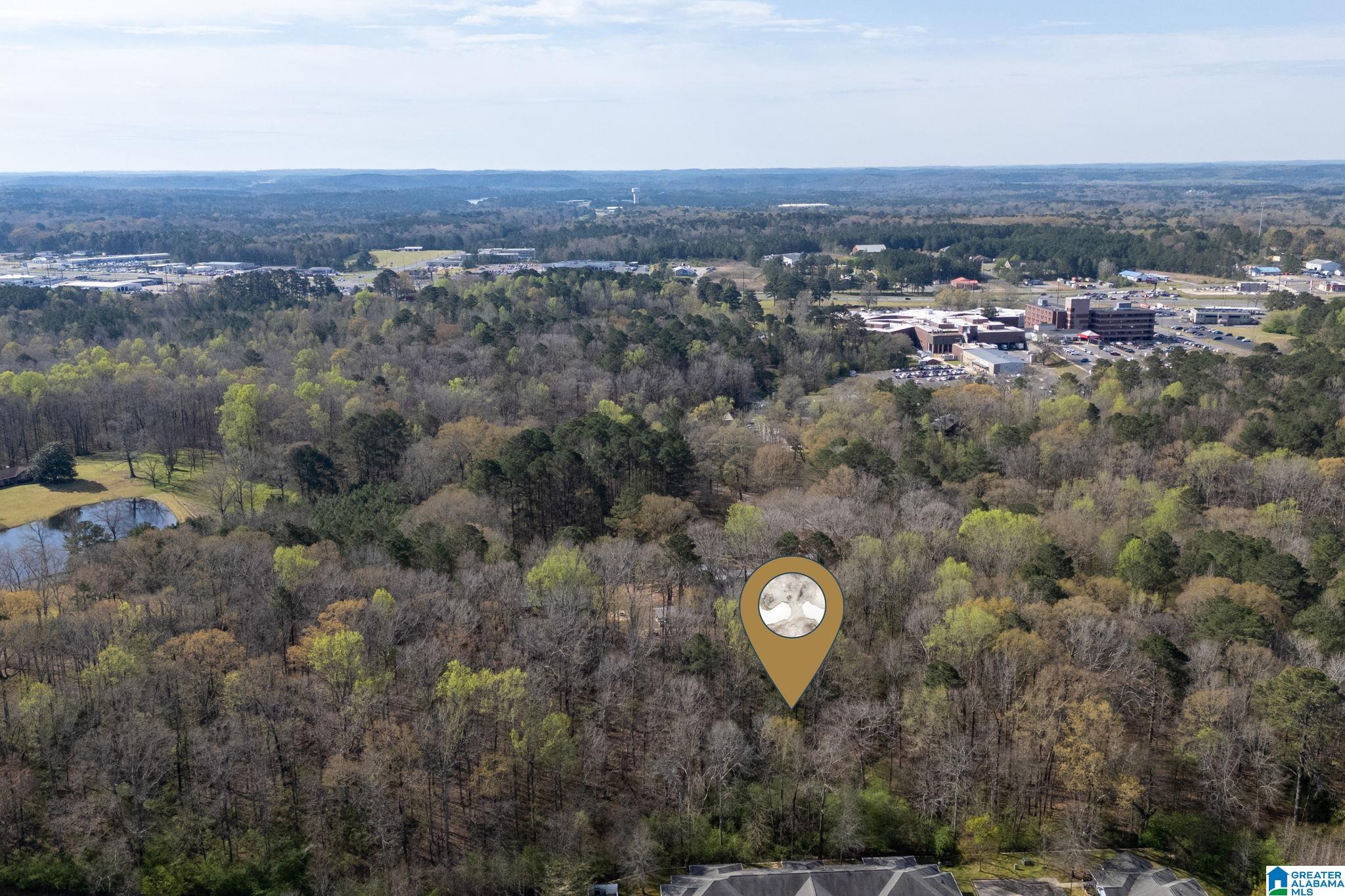 358 Blackwell Dairy Road Jasper, AL 35501 - Photo 16 of 22