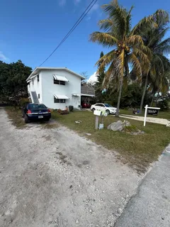 a view of a house with backyard and a tree
