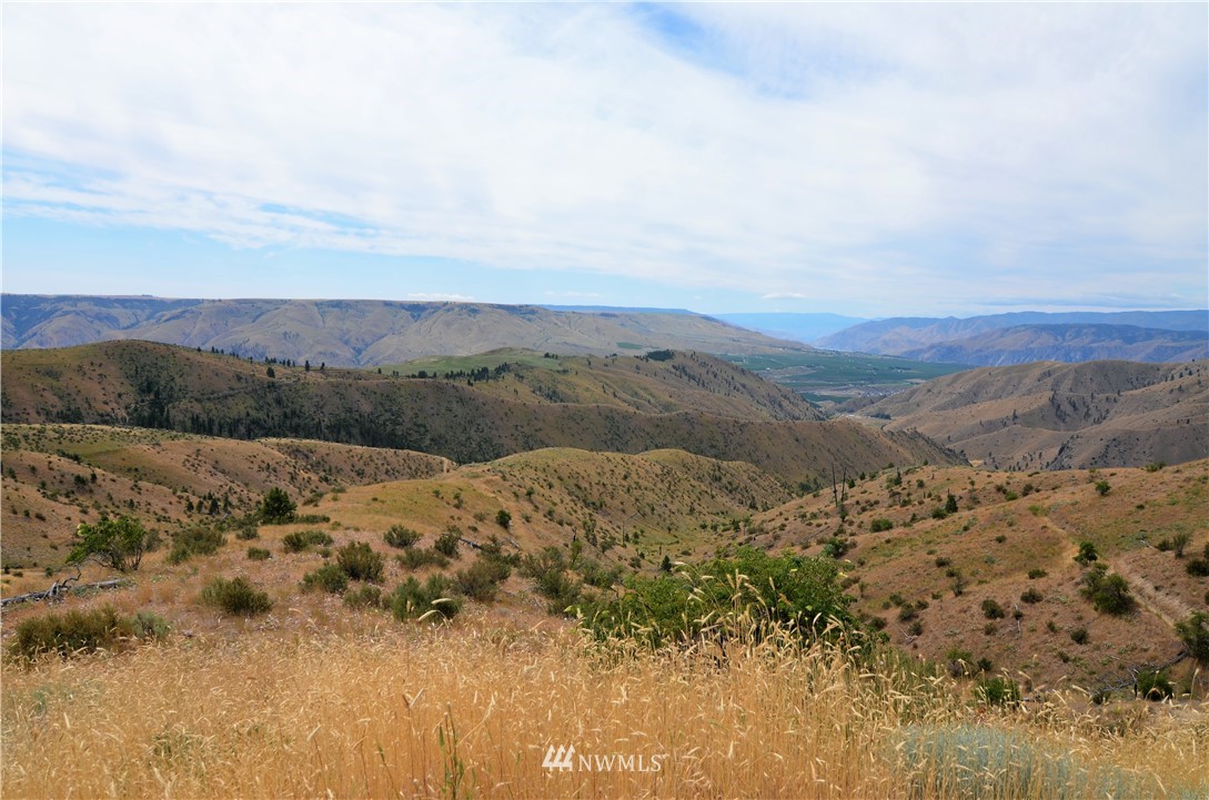 0 Downey Road Chelan, WA 98816 - Photo 3 of 16 Gallery Image 3