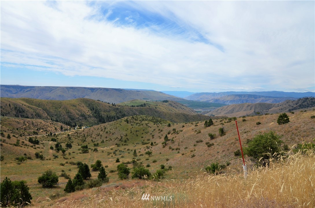 0 Downey Road Chelan, WA 98816 - Photo 4 of 16 Gallery Image 4