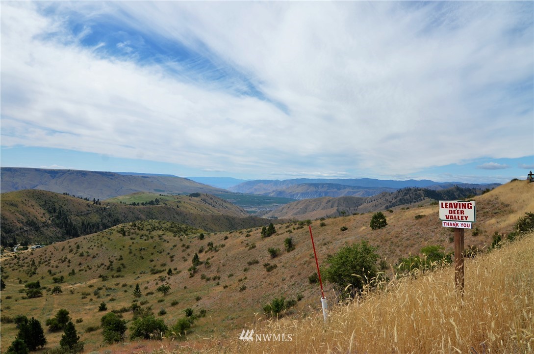 0 Downey Road Chelan, WA 98816 - Photo 5 of 16 Gallery Image 5