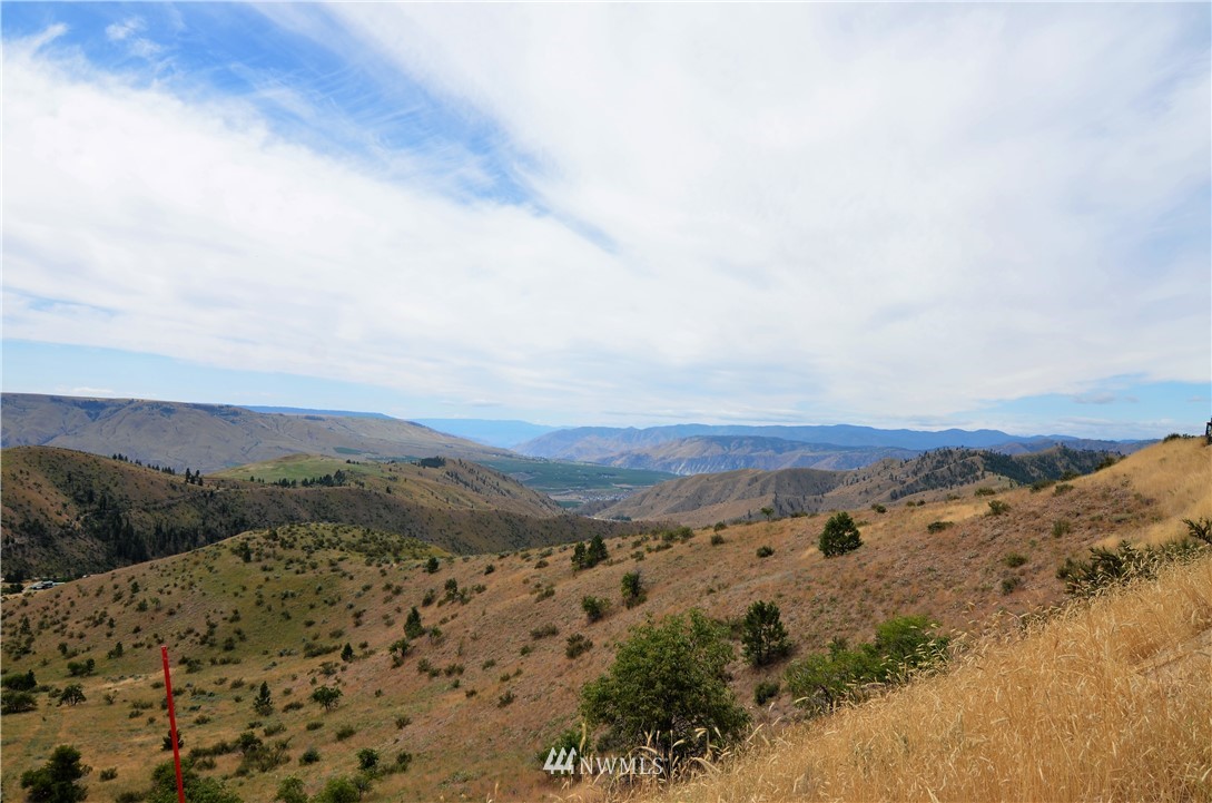 0 Downey Road Chelan, WA 98816 - Photo 6 of 16 Gallery Image 6