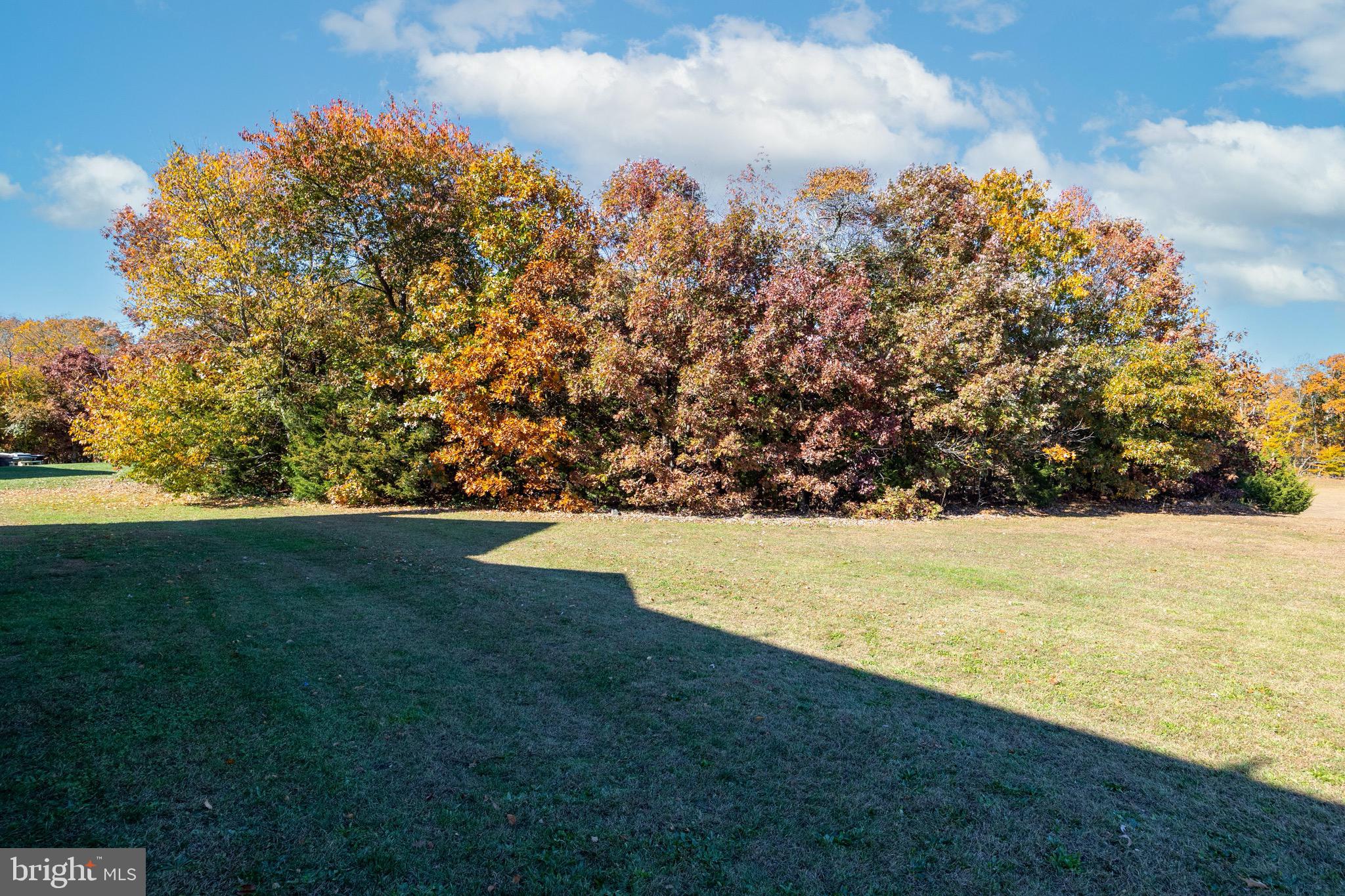 241 Jennings Way Mickleton, NJ 08056 - Photo 58 of 59