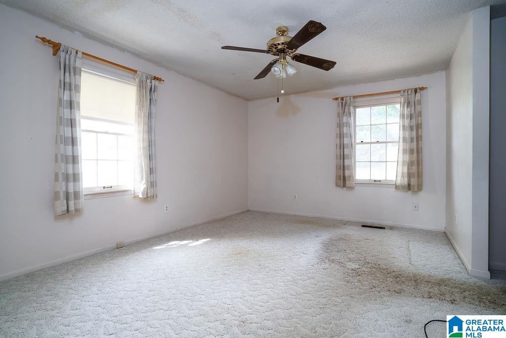 102 Burgess Drive Springville, AL 35146 - Photo 13 of 46
