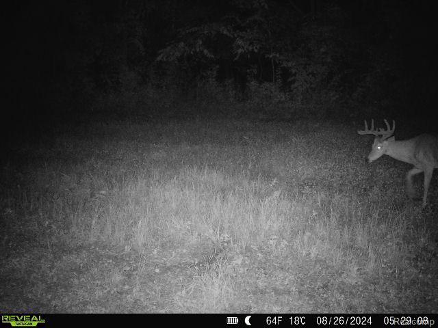 V/l Blake Road Jackson, MI 49202 - Photo 86 of 97 Gallery Image 86