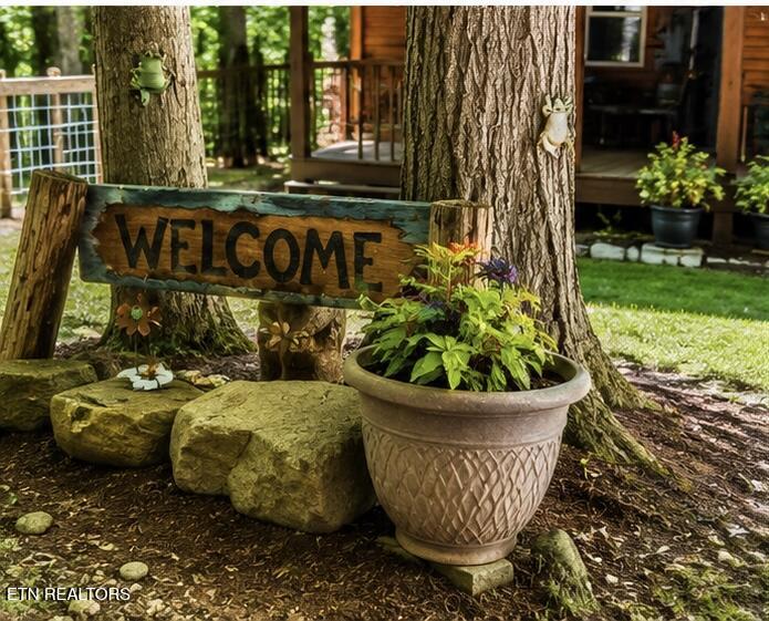 737 Edd Linder Road Jamestown, TN 38556 - Photo 3 of 57 20260525_184136486_iOS