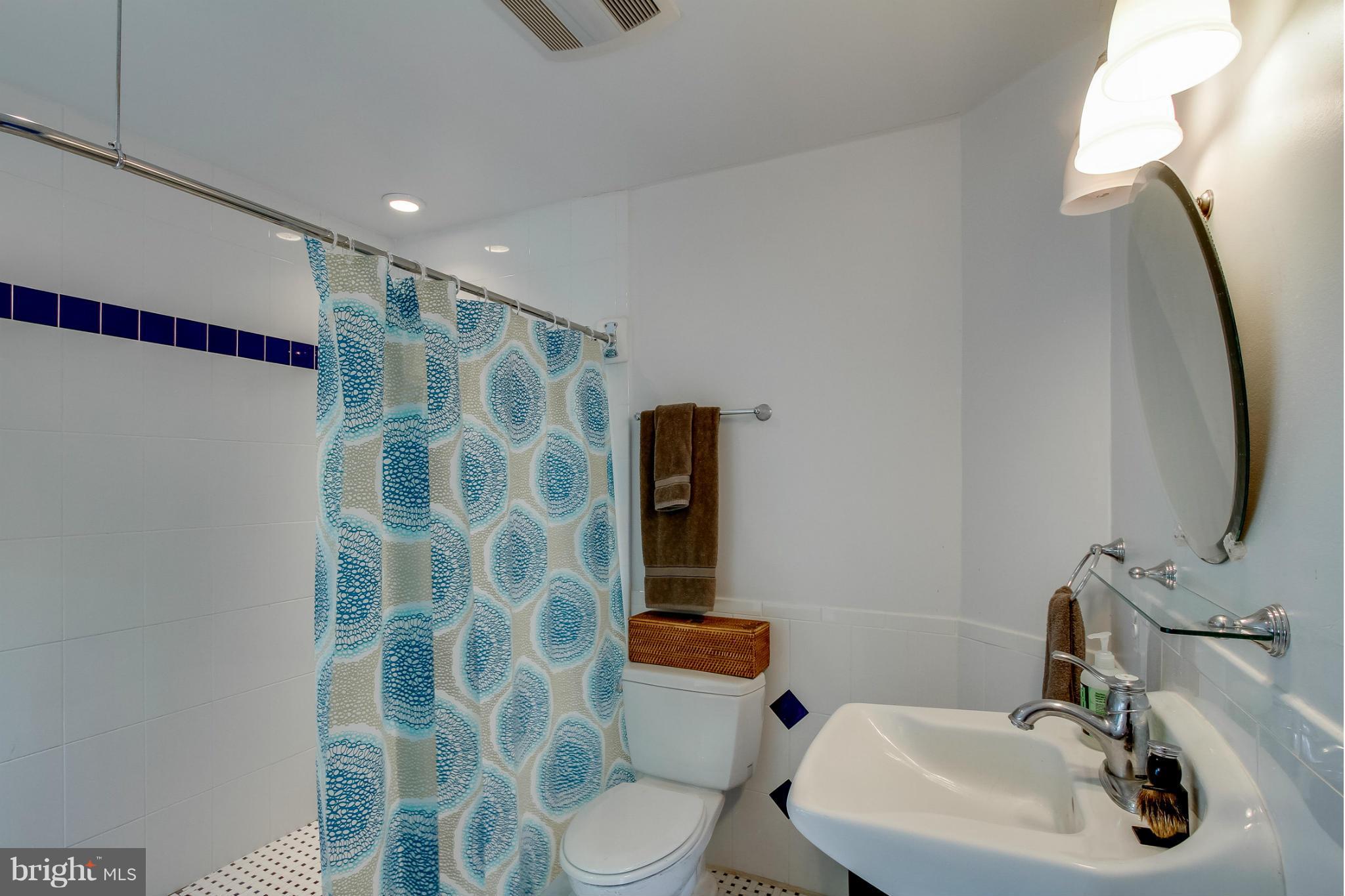 6721 Queens Road Alexandria, VA 22306 - Photo 11 of 29 Bath (Master)