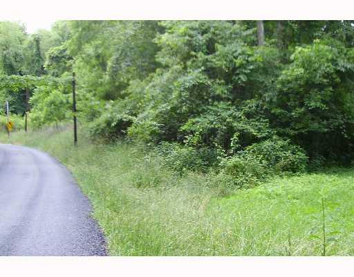 467 Mt Tabor Road Long Branch, PA 15423 - Photo 4 of 8 Land/Lot.