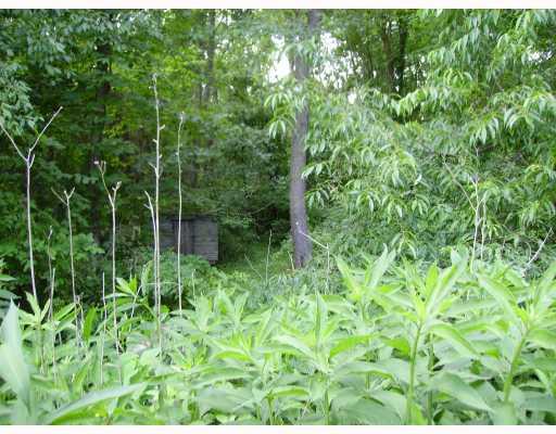 467 Mt Tabor Road Long Branch, PA 15423 - Photo 5 of 8 Land/Lot.