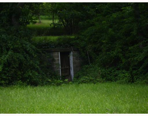 467 Mt Tabor Road Long Branch, PA 15423 - Photo 7 of 8 Land/Lot.