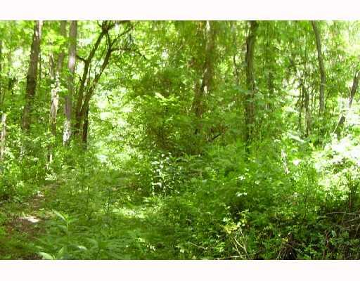 467 Mt Tabor Road Long Branch, PA 15423 - Photo 8 of 8 Land/Lot.