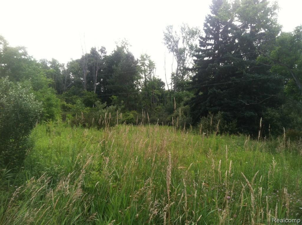 1431 West Brocker Road Metamora, MI 48455 - Photo 4 of 9 1431 brocker on lot towards south 2.jpg