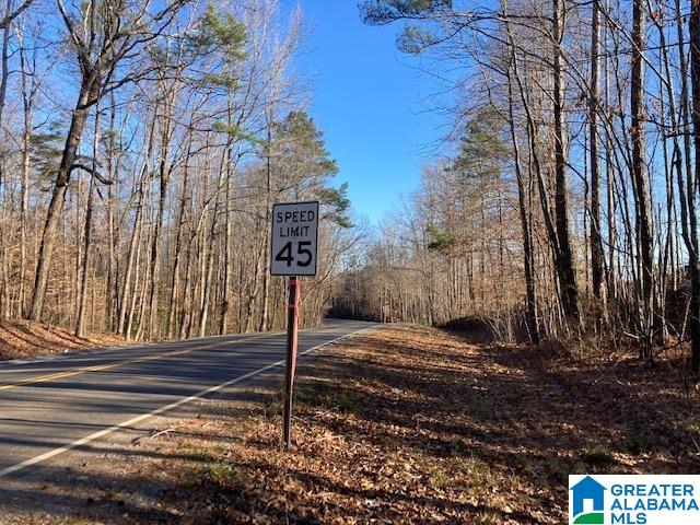 1925 Coaling Road, Unit 240 AC Sylacauga, AL 35151 - Photo 8 of 8