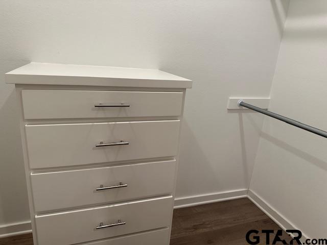 16461 County Road 178, Unit 4 Tyler, TX 75703 - Photo 12 of 16 a close view of closet