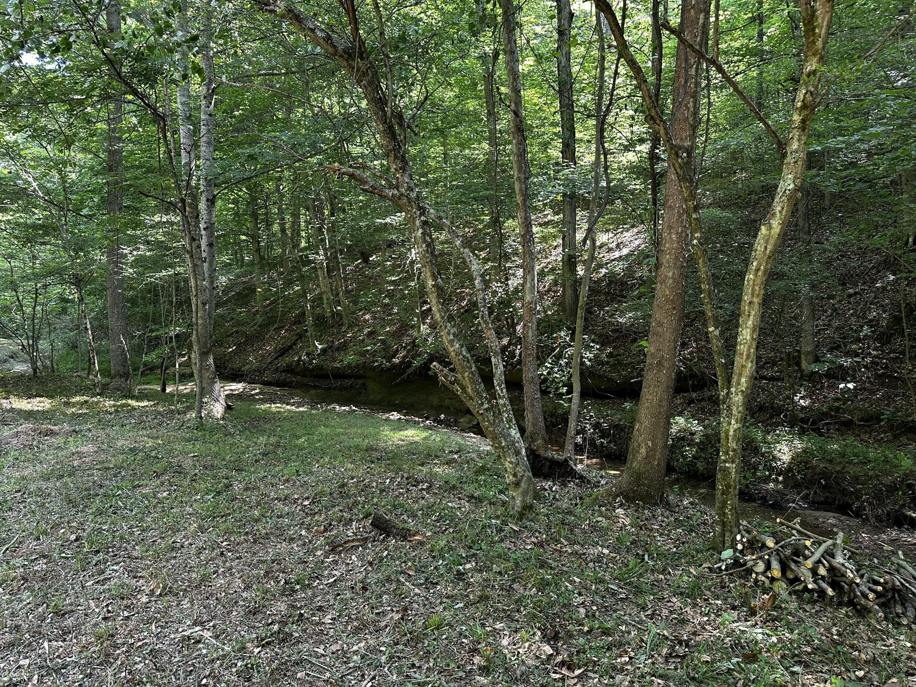 1101 Hull Road, Unit TRACT 9 WOODS WAYNE FOREST) Patriot, OH 45658 - Photo 60 of 61 20240621_152552123_iOS