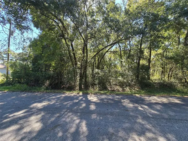 a view of outdoor space with trees