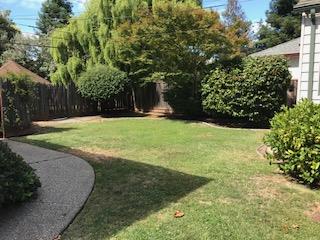 345 Lexington Way Burlingame, CA 94010 - Photo 6 of 7