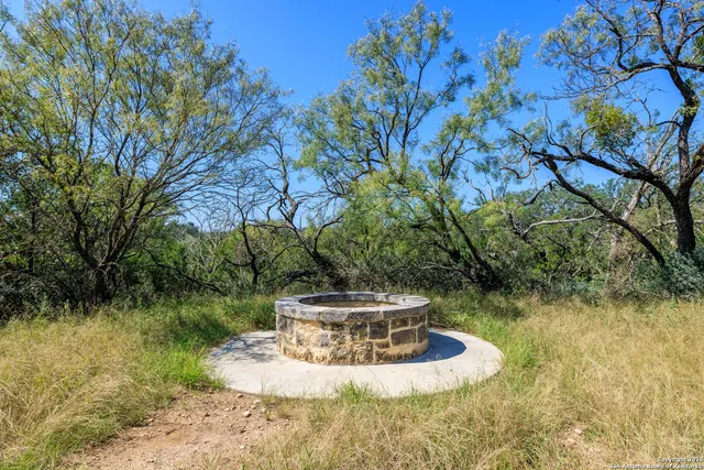 a view of a back yard
