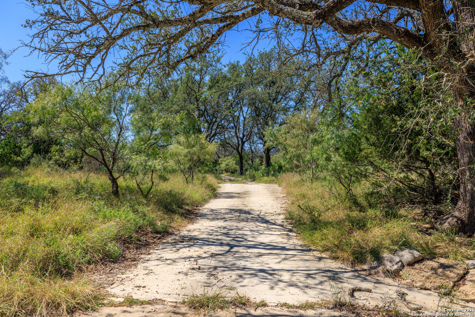 9402 Doss-Spring Creek Road Doss, TX 78618 - Photo 39 of 42 a view of a yard with plants and trees
