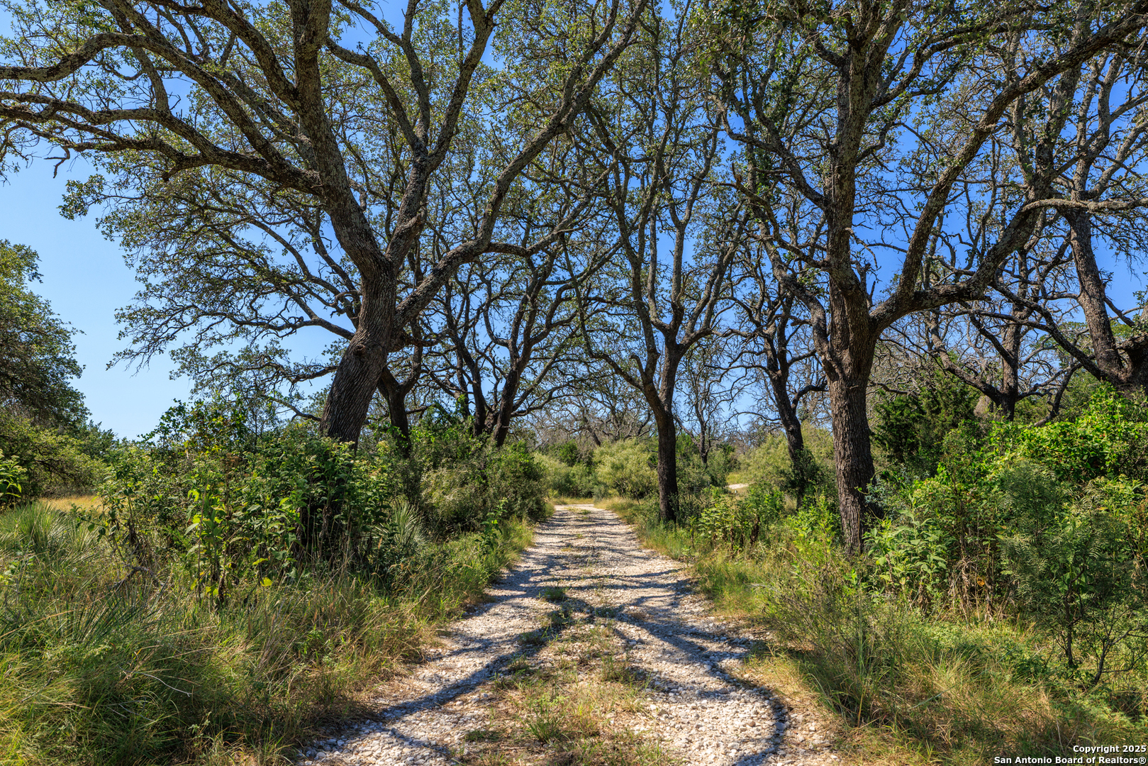 9402 Doss-Spring Creek Road Doss, TX 78618 - Photo 40 of 42 a backyard of a house with large trees