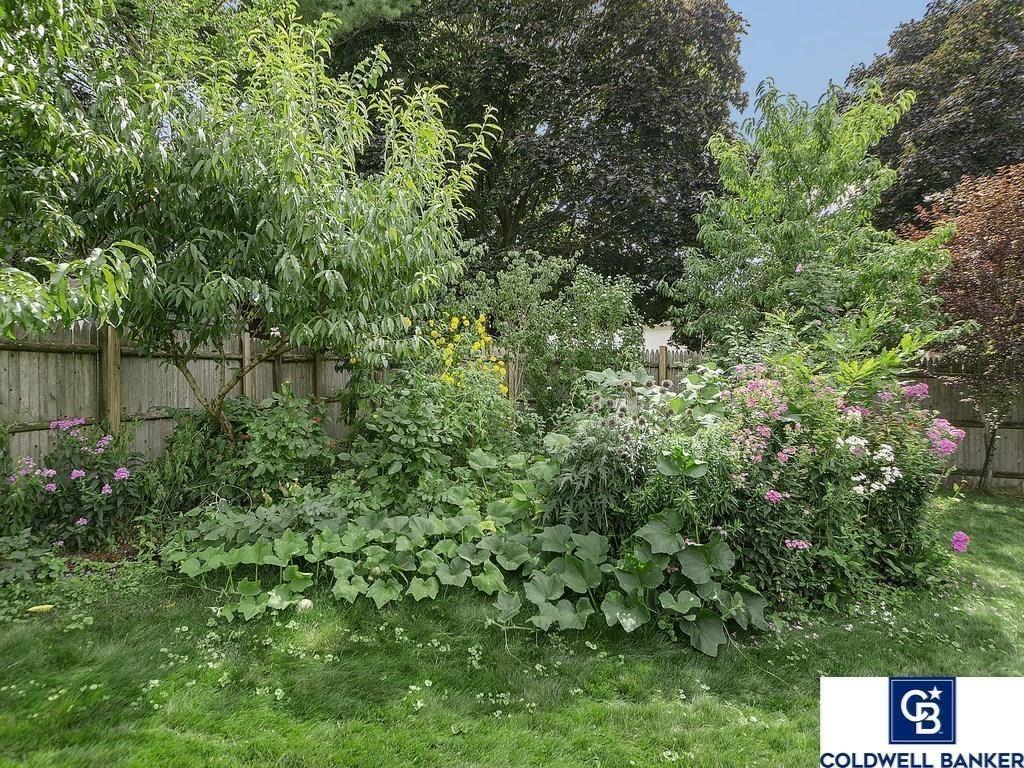 87 Briarwood Road Waltham, MA 02452 - Photo 19 of 23 Gallery Image 19