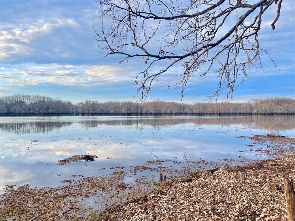 0 Pine Street Heflin, LA 71039 - Photo 1 of 14 Lake Bistineau