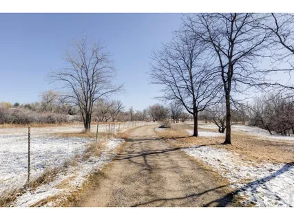 a view of empty yard with a tree
