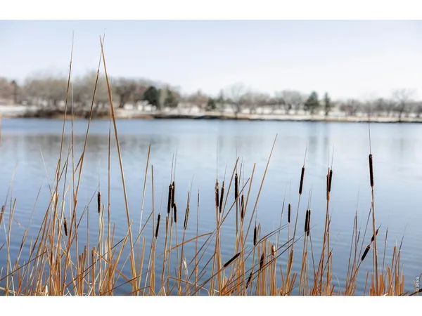 $7,800,000 | 0 Rozena Drive, Longmont, CO 80503