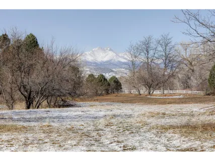 a view of dirt field with trees in background