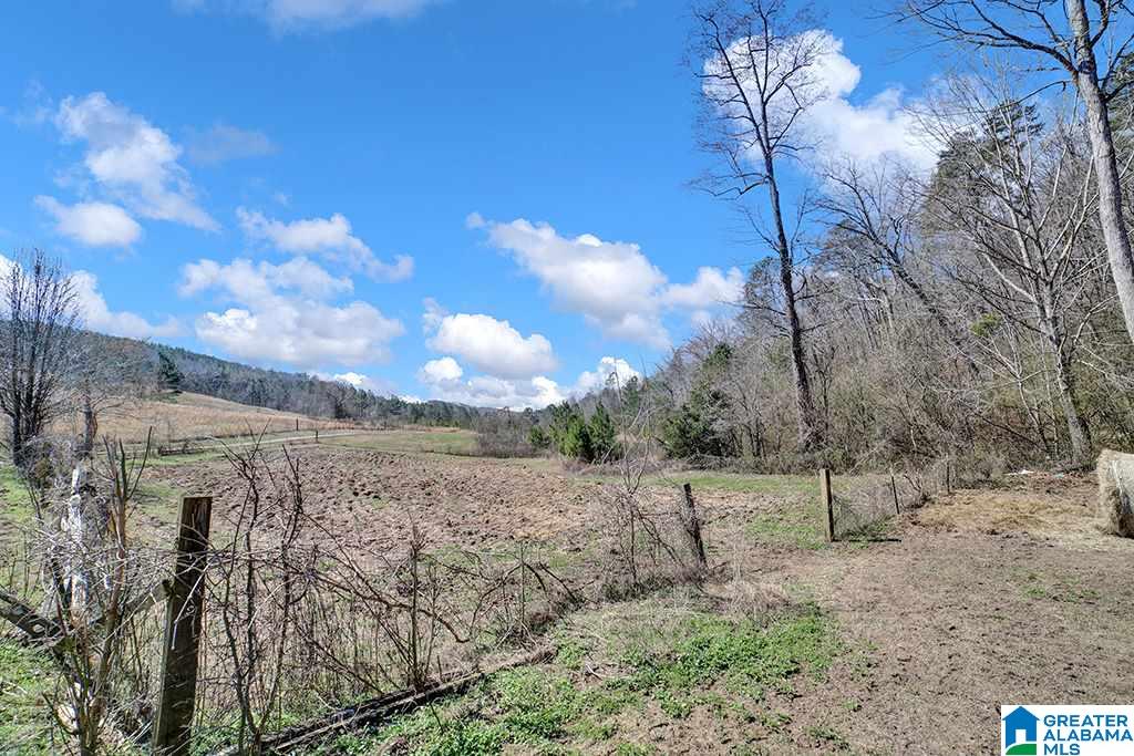 39080 Highway 231 Steele, AL 35987 - Photo 12 of 37