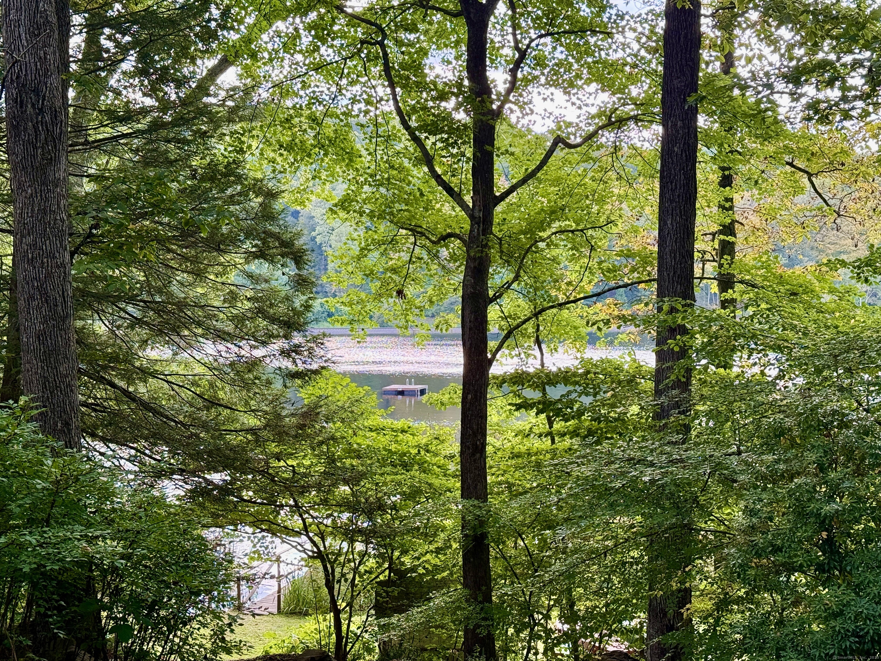 a view of yard with large tree