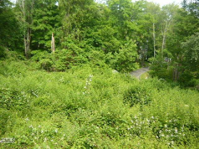 a view of a lush green forest