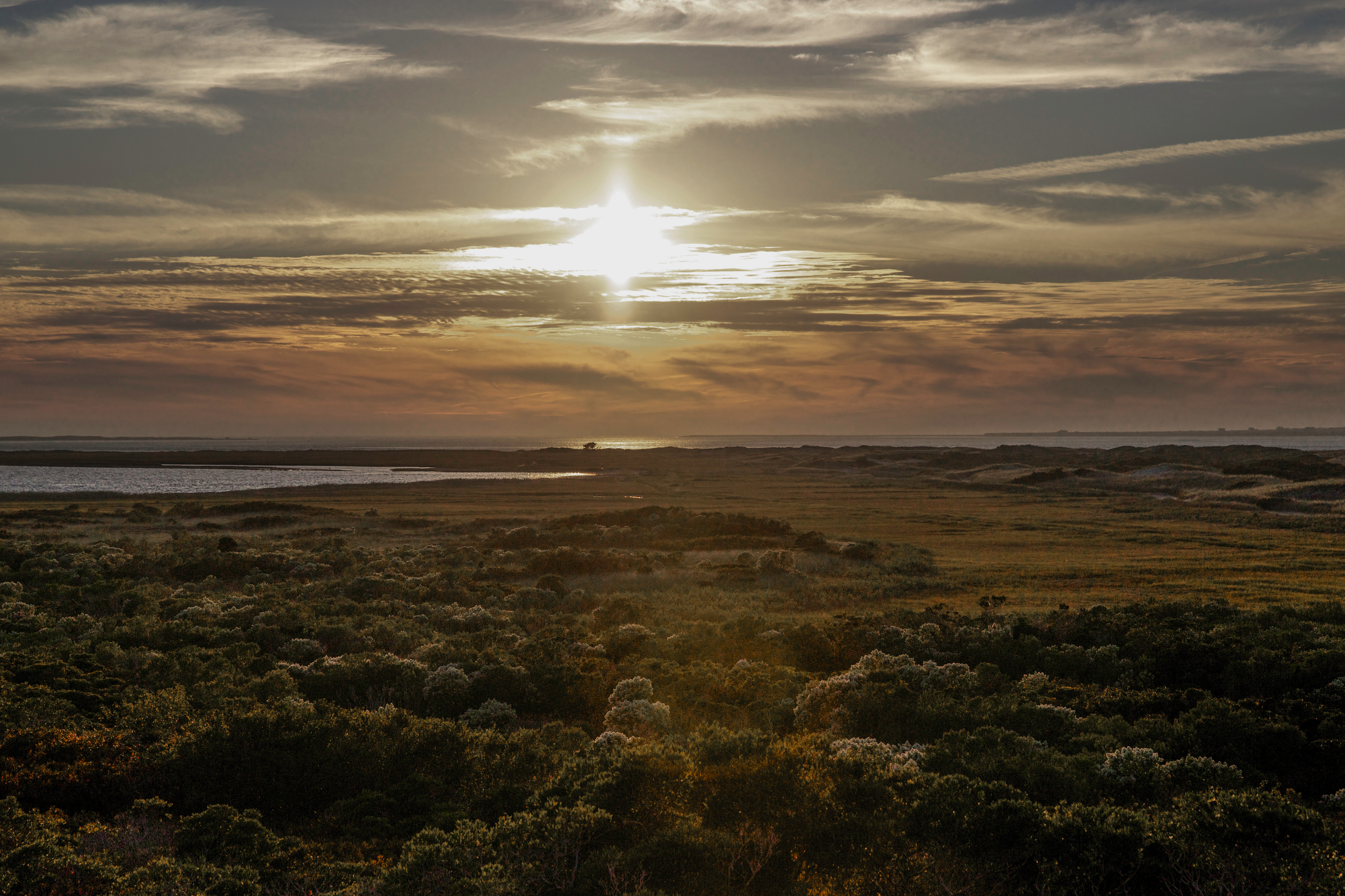 181 Eel Point Road Nantucket, MA 02554 - Photo 20 of 21 Gallery Image 20