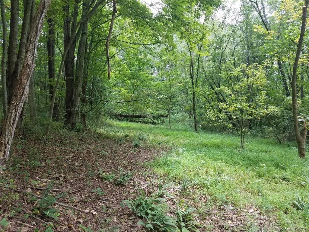 99999 Thompson Cove Road Clyde, NC 28721 - Photo 1 of 19