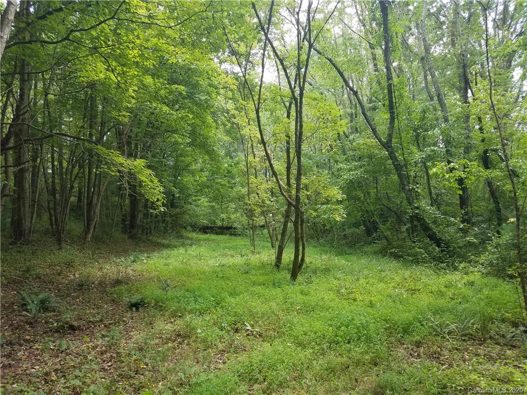 99999 Thompson Cove Road Clyde, NC 28721 - Photo 2 of 19