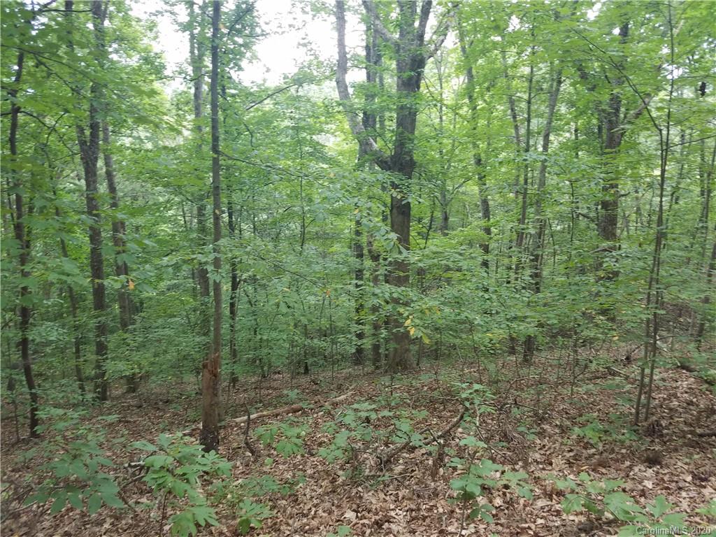 99999 Thompson Cove Road Clyde, NC 28721 - Photo 11 of 19
