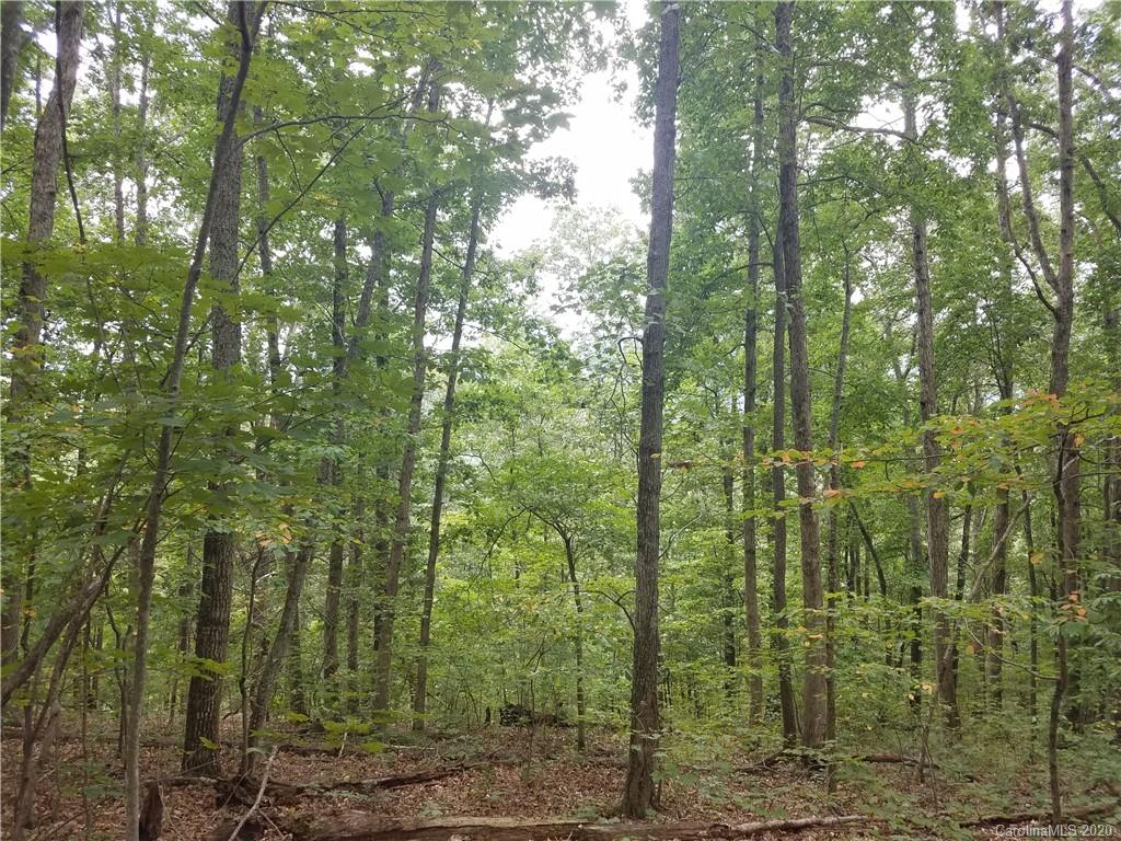 99999 Thompson Cove Road Clyde, NC 28721 - Photo 12 of 19