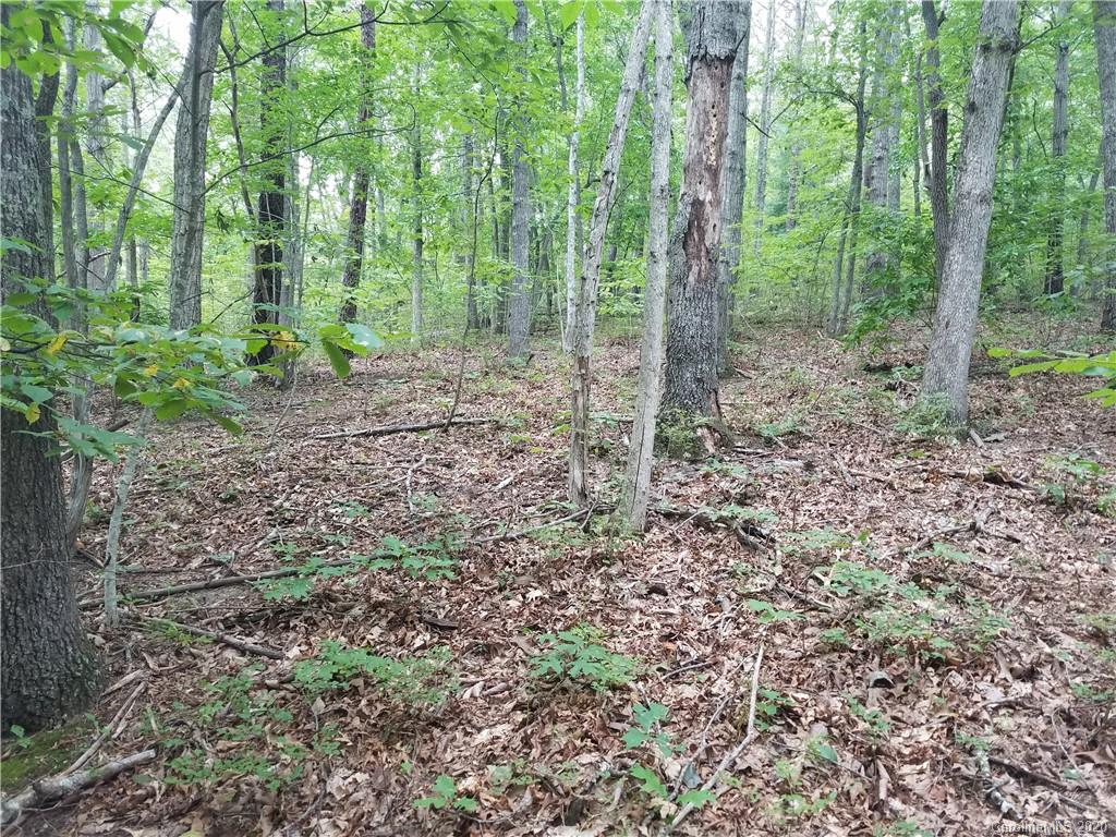 99999 Thompson Cove Road Clyde, NC 28721 - Photo 13 of 19