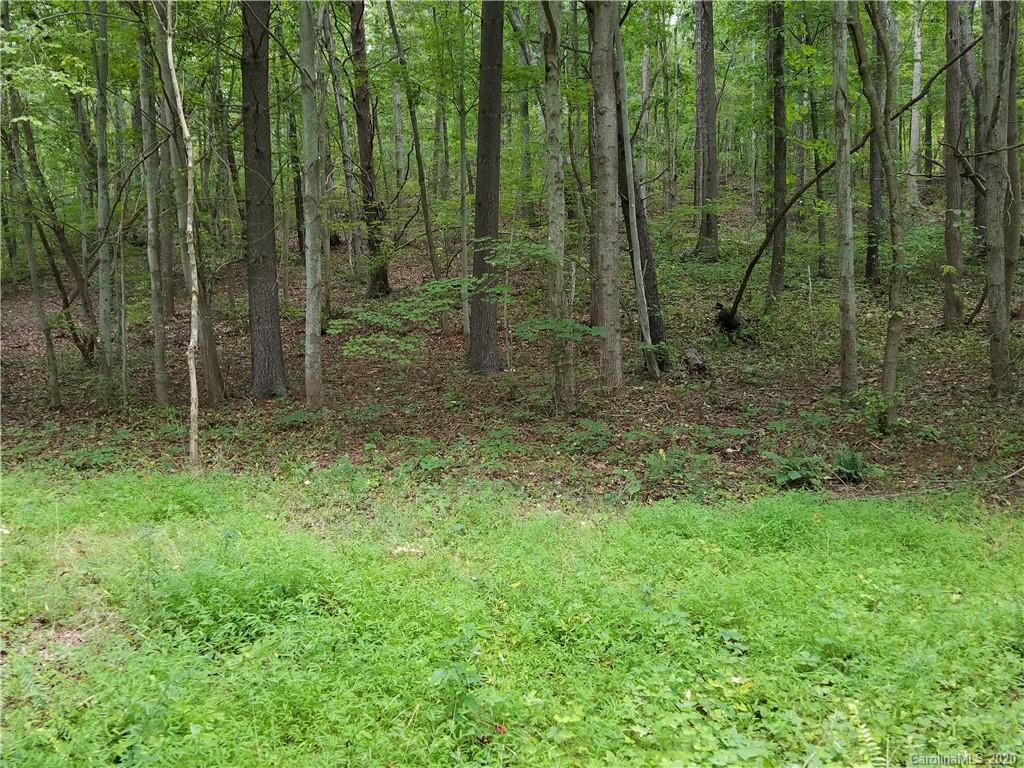 99999 Thompson Cove Road Clyde, NC 28721 - Photo 14 of 19